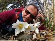 20 Incontro ravvicinato con ellebori